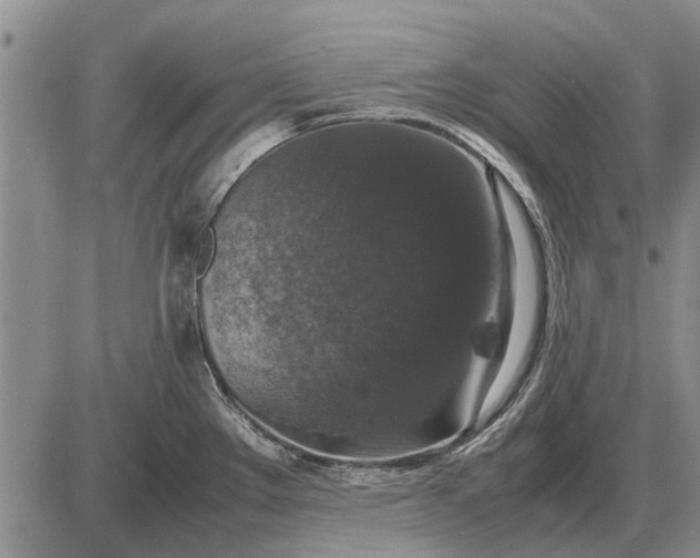 X0000085271289200703231731