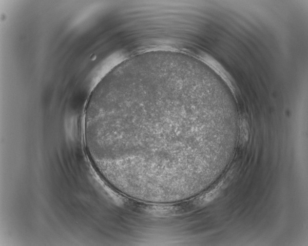 X0000085271290200703231731