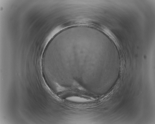 X0000085271291200703231731