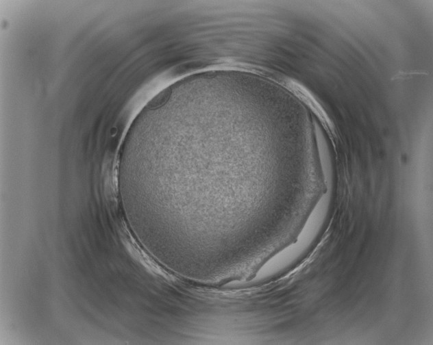 X0000085271292200703231731