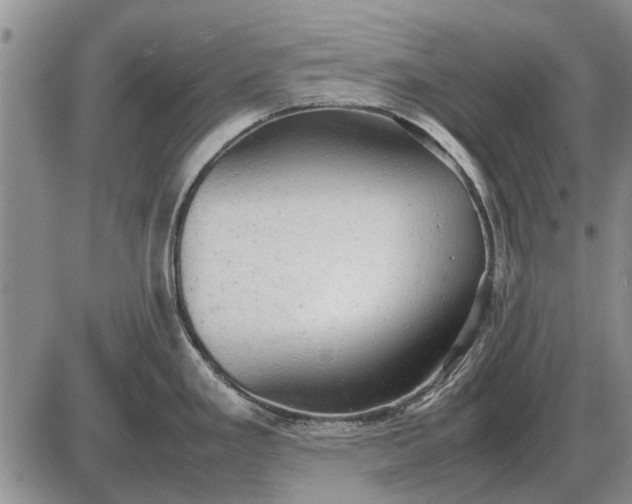 X0000085271293200703231731