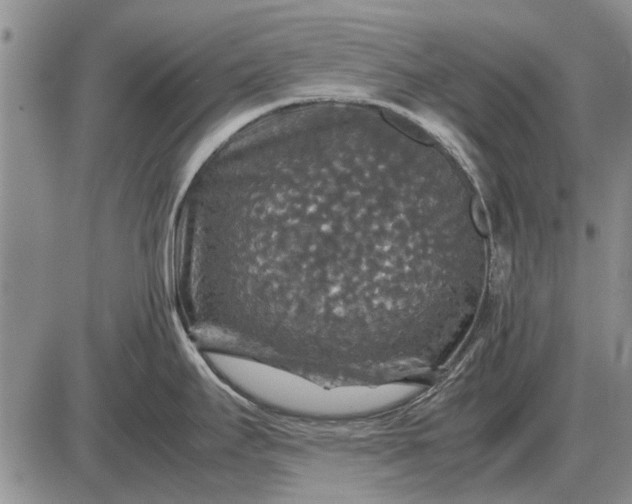 X0000085271295200703231731