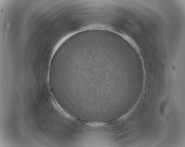 X0000085271296200703231731