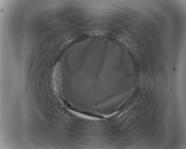 X0000085271297200703231730