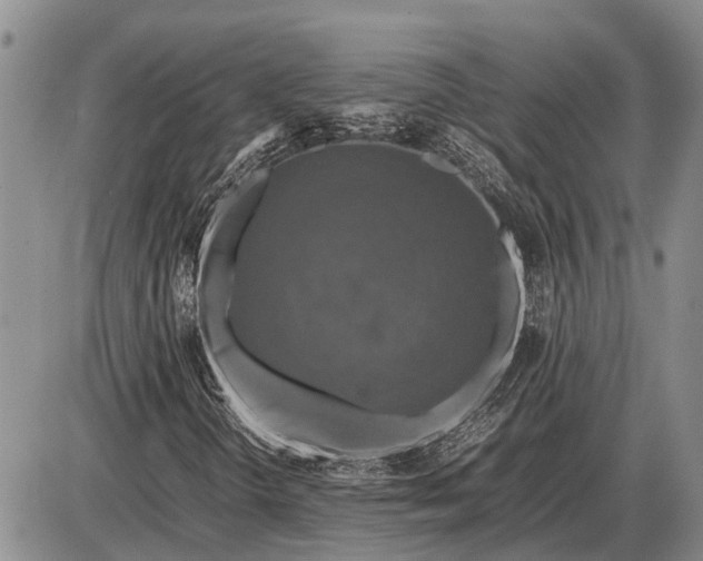 X0000085271298200703231730