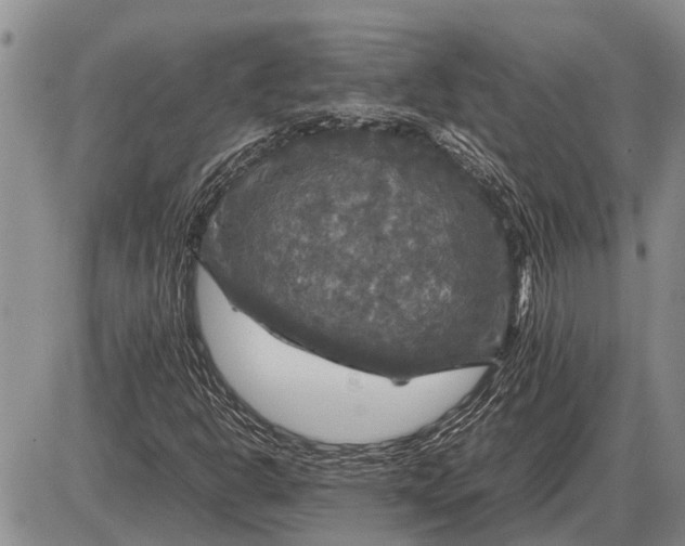 X0000085271302200703231730