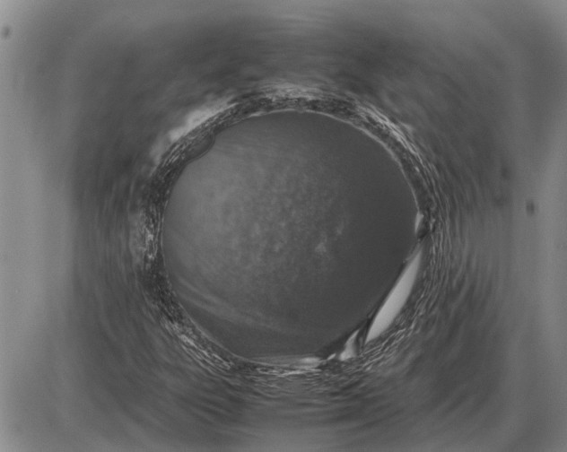 X0000085271303200703231730