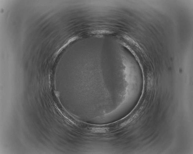 X0000085271305200703231730