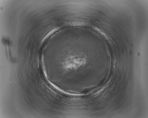 X0000085271306200703231730