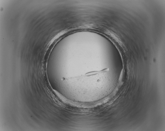 X0000085271308200703231731