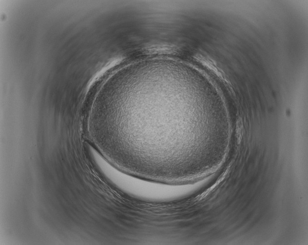 X0000085271309200703231731