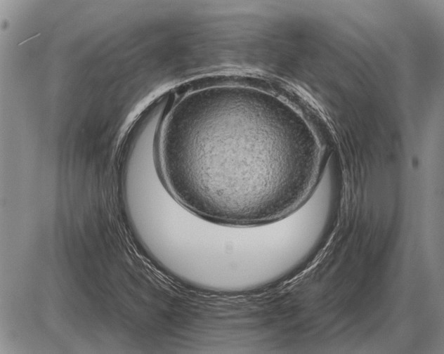 X0000085271310200703231731