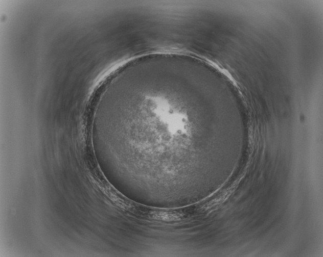 X0000085271311200703231731