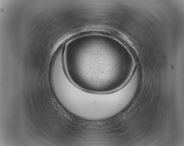 X0000085271312200703231731