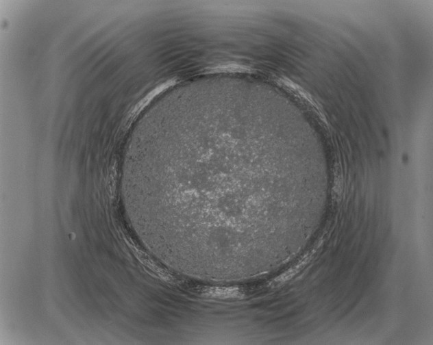 X0000085271313200703231731