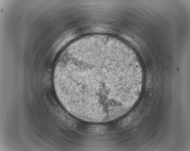 X0000085271314200703231731