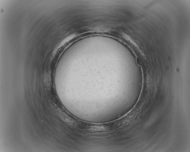 X0000085271315200703231731