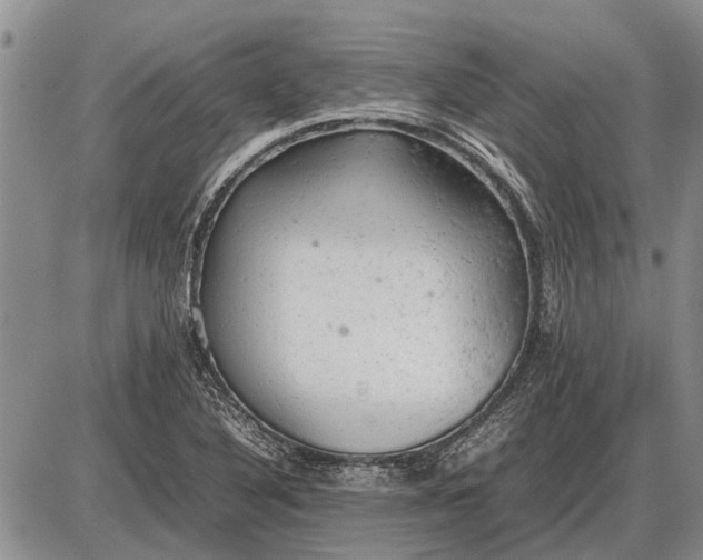 X0000085271316200703231731