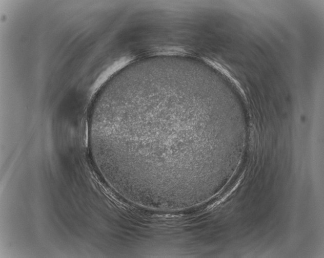 X0000085271317200703231731