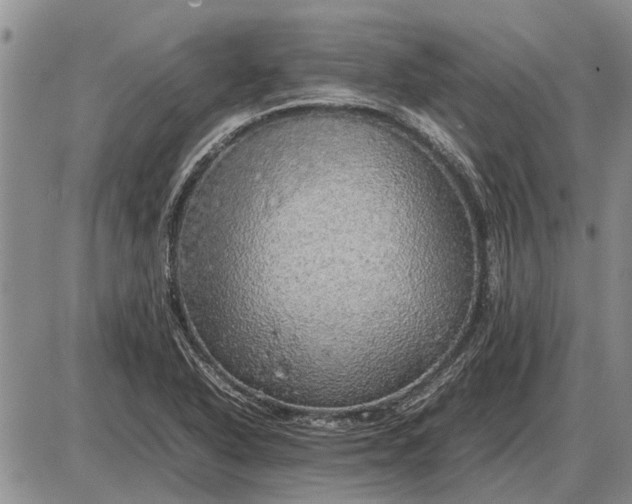 X0000085271318200703231731