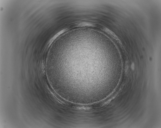 X0000085271321200703231731