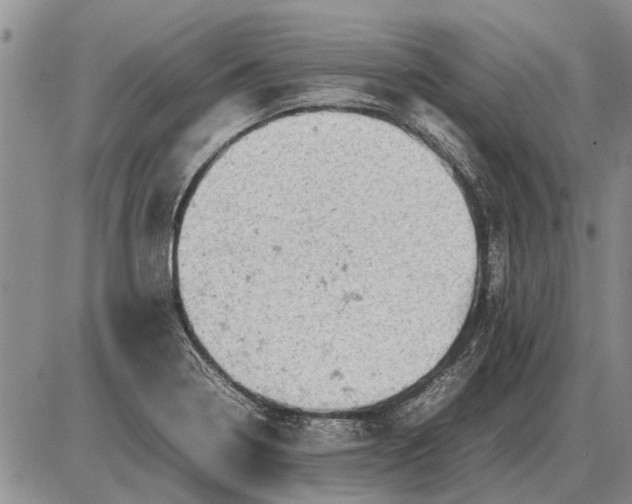 X0000085271322200703231731