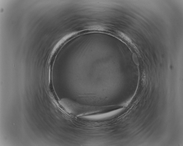 X0000085271323200703231731