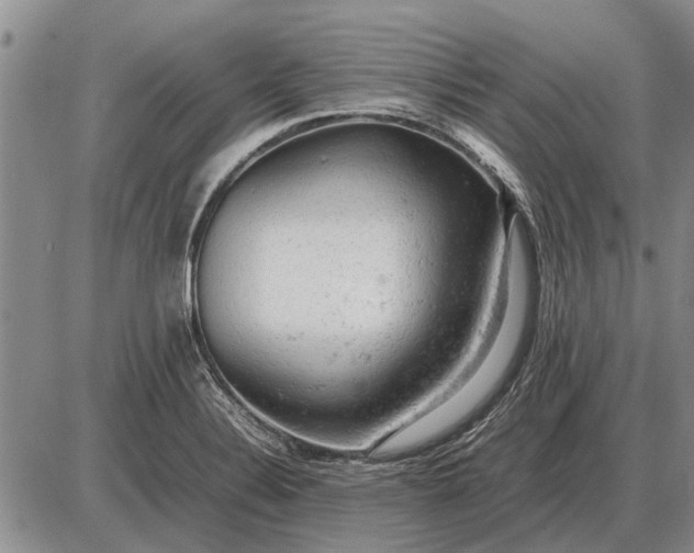 X0000085271324200703231731