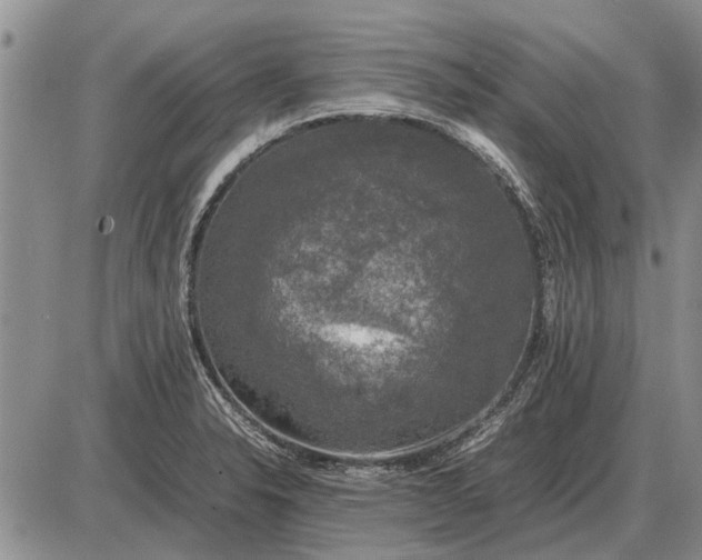 X0000085271326200703231731