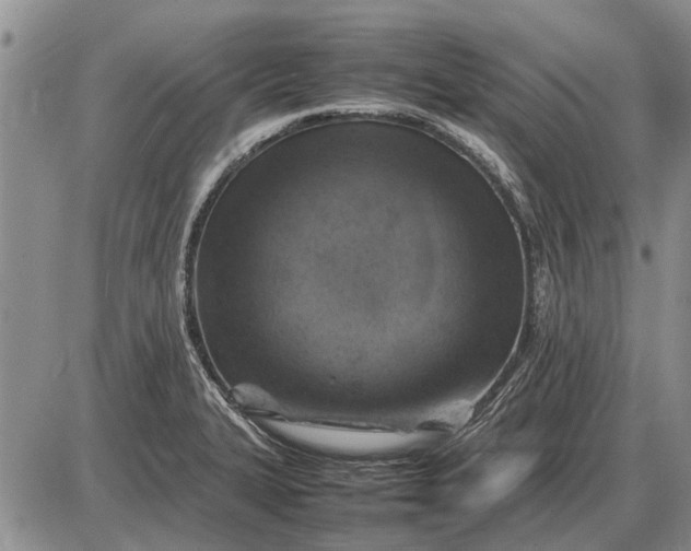 X0000085271327200703231731