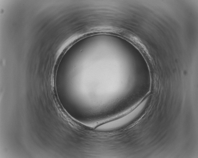 X0000085271328200703231731