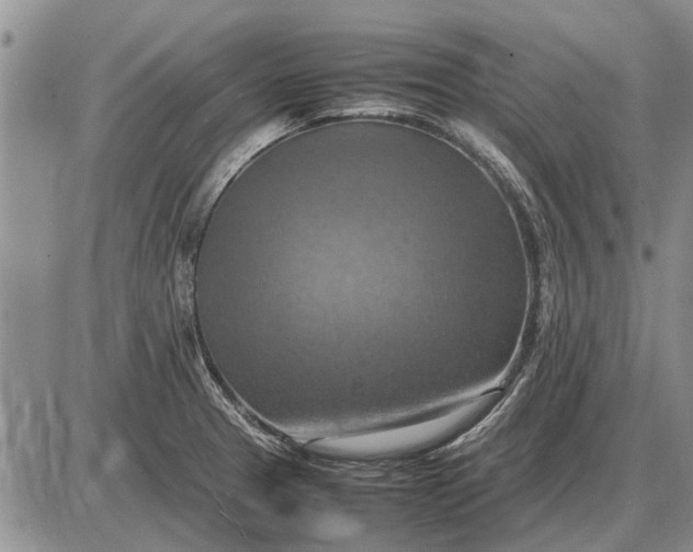 X0000085271329200703231731