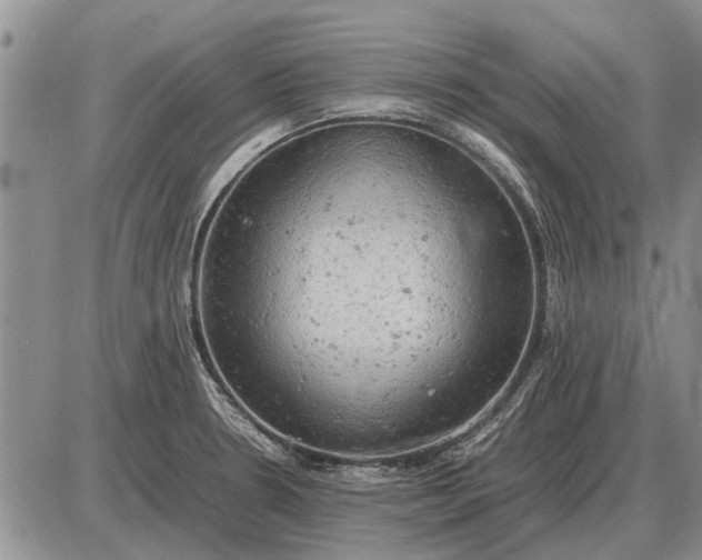 X0000085271330200703231731