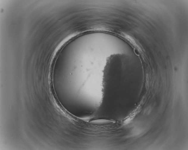 X0000085271331200703231731