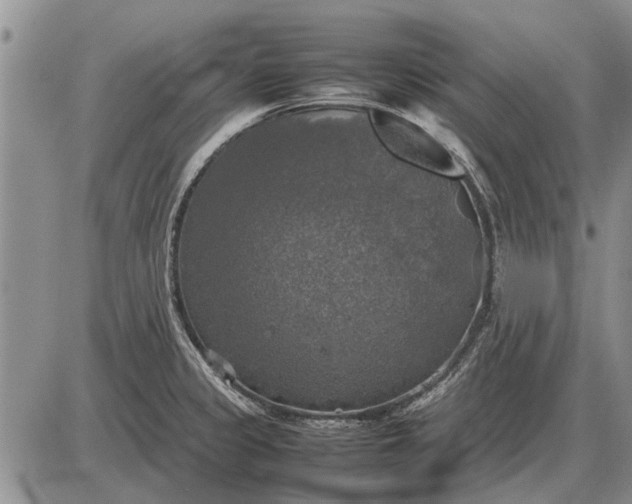 X0000085271333200703231731