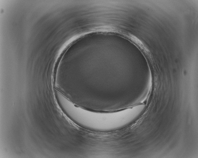 X0000085271334200703231731