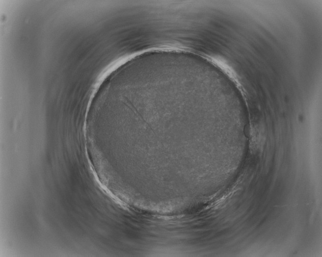 X0000085271335200703231731