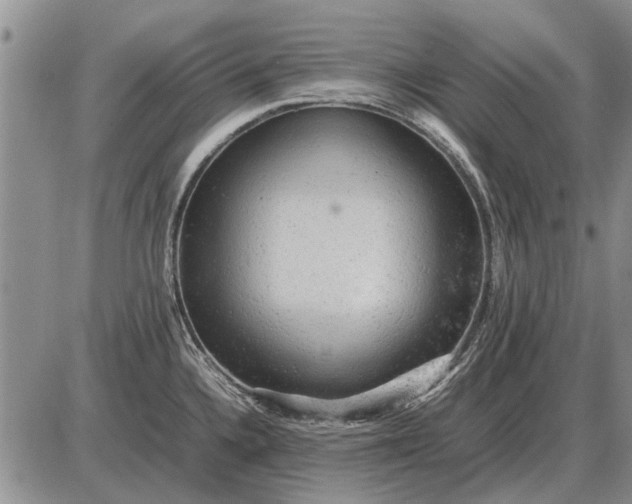 X0000085271336200703231731