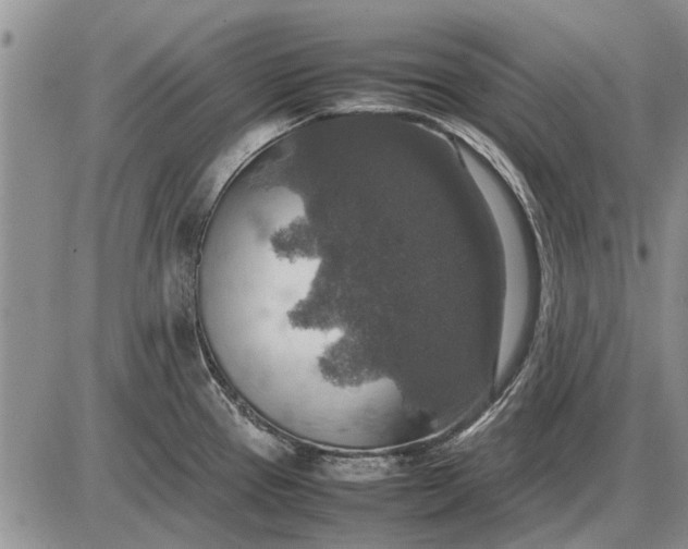 X0000085271337200703231731