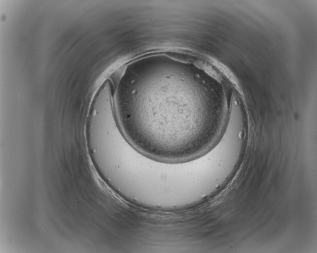 X0000085271338200703231731