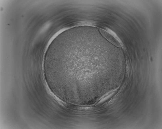 X0000085271339200703231731