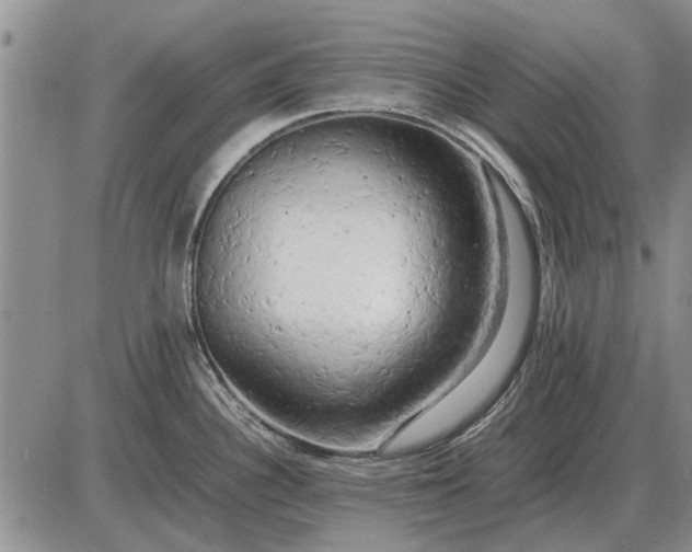 X0000085271340200703231731