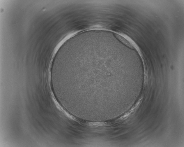 X0000085271341200703231731