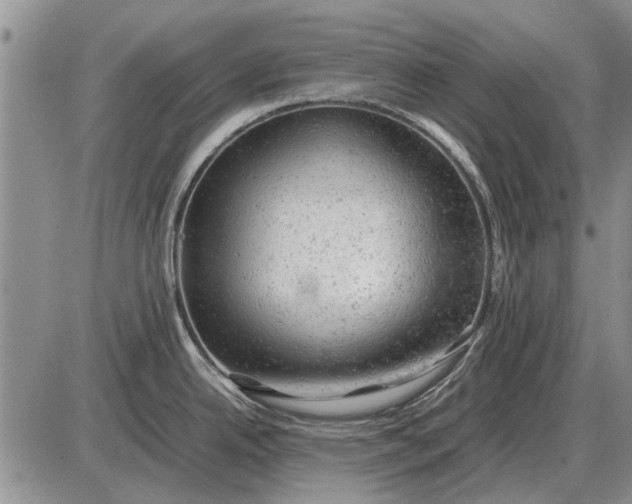 X0000085271342200703231731