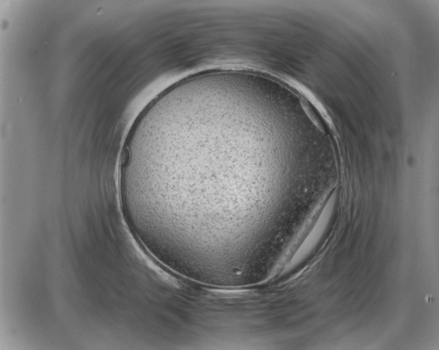 X0000085271343200703231731