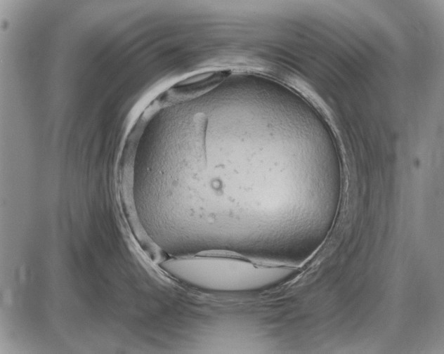 X0000085271344200703231731