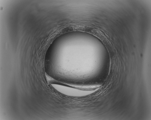 X0000085271345200703231730