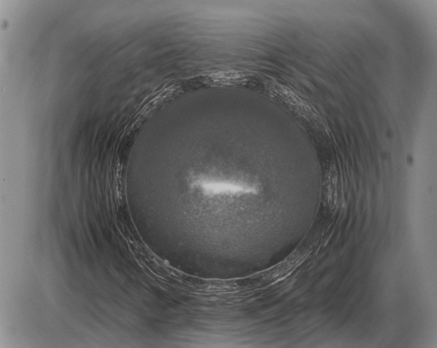 X0000085271346200703231730