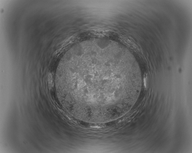 X0000085271347200703231730