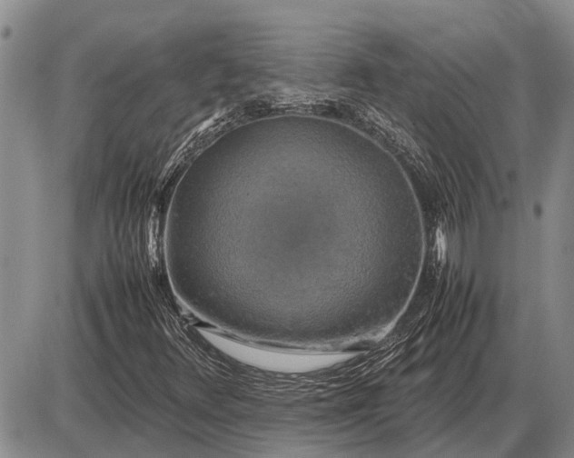 X0000085271348200703231730